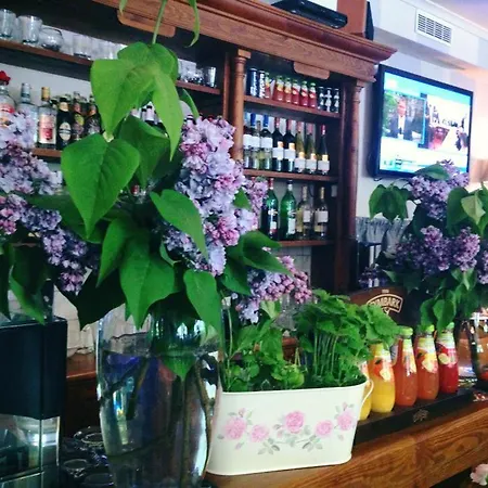 Gosciniec Pod Brzozami 3*