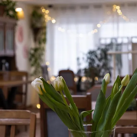 Gosciniec Pod Brzozami