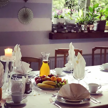 Gosciniec Pod Brzozami 여관 3*